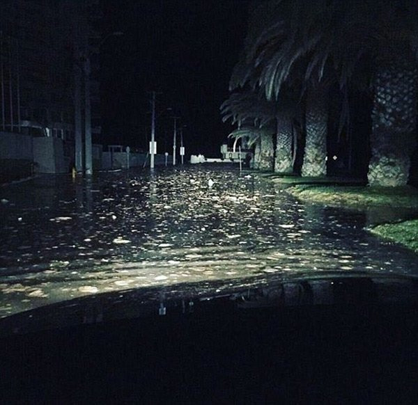 Picture 6 of Earthquake causes tsunami in Turkey