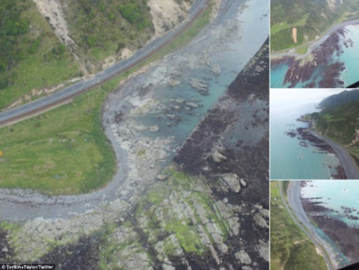 Picture 4 of Earthquake pulls the seabed 2m high in New Zealand