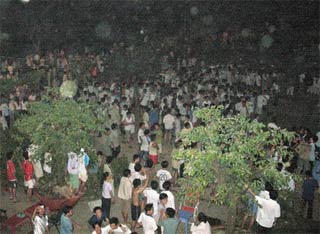 Earthquakes in Ho Chi Minh City, Vung Tau, Nha Trang, Phu Quy and Binh Thuan images 1