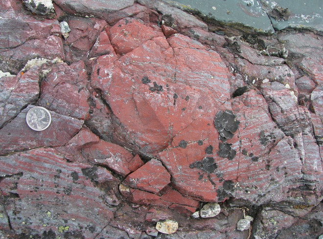 Picture 3 of Earth's oldest life has just been discovered in Northern Canada