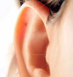 Picture 1 of Earwax dry or wet: Because of genes!