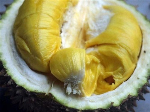 Picture 1 of Eat durian after drinking: Warning for poisoning