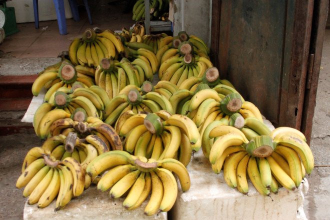 Picture 2 of Eat poisoned banana vinegar?