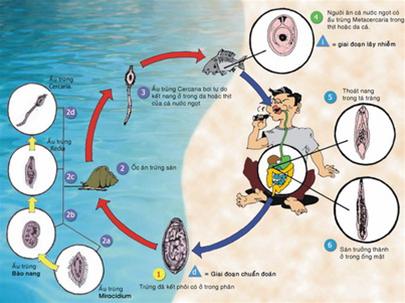 Eat raw fish salad: Watch out for good mouth, torment images 1
