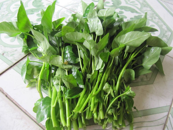 Picture 2 of Eat water spinach: Things to pay attention to