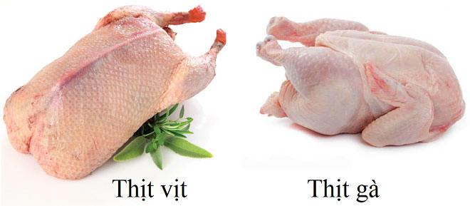Picture 1 of Eating chicken or duck meat better?