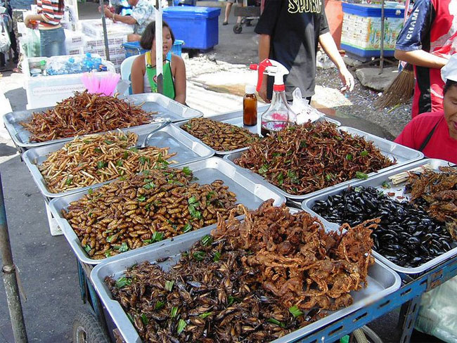 Picture 3 of Eating crickets and insects is very good for the intestinal tract