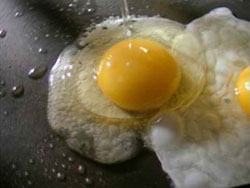 Picture 1 of Eating eggs regularly does not increase cholesterol