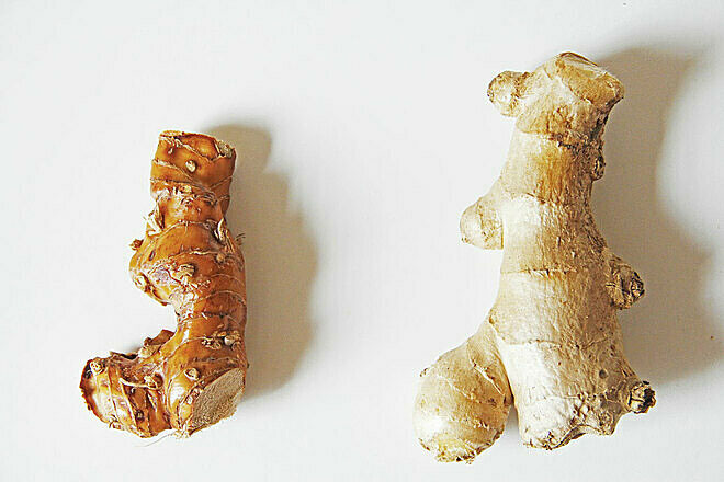 Picture 1 of Eating ginger or galangal better?
