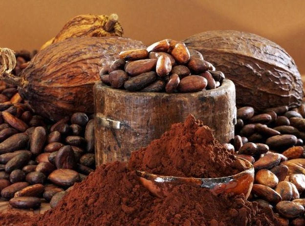 Picture 1 of Eating high concentrations of flavanol helps improve memory