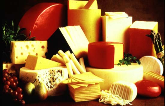 Picture 1 of Eating lots of cheese increases the risk of bladder cancer