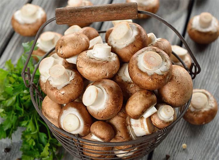 Picture 2 of Eating mushrooms can prevent cancer but not eat meat or fish