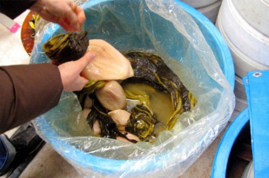 Picture 1 of Eating pickled radish can prevent H7N9 flu