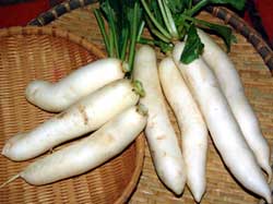 Picture 1 of Eating radishes cure many diseases