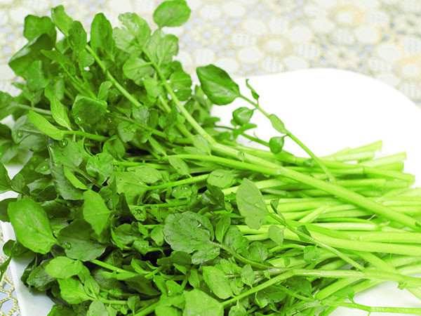 Picture 2 of Eating this vegetable every day no longer worries about cancer