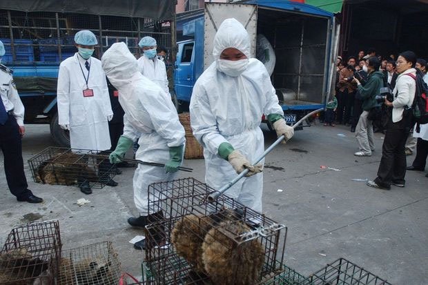 Picture 2 of Eating wild meat - a thousand-year habit of harming Chinese people