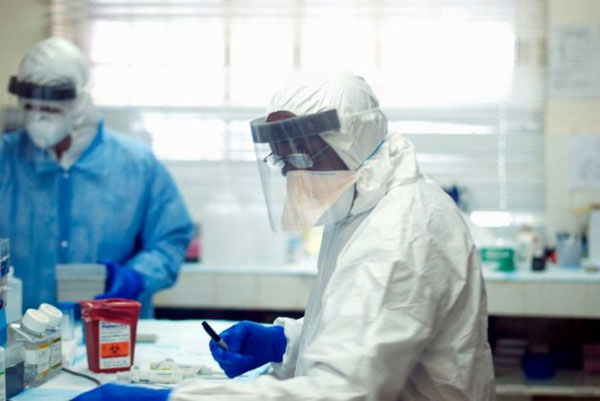 Picture 1 of Ebola virus detection in 30 minutes
