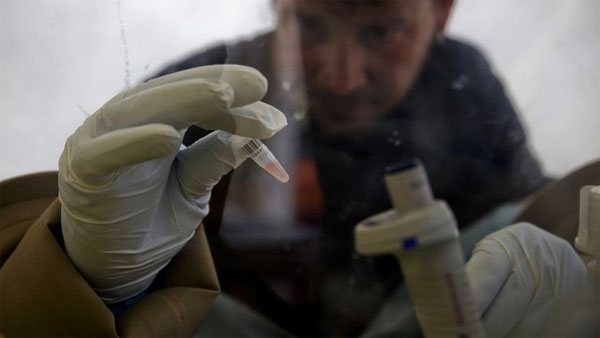 Picture 1 of Ebola virus: Why has no cure?