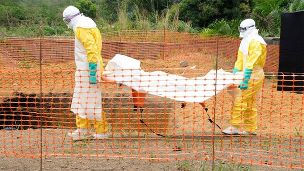 Picture 3 of Ebola virus: Why has no cure?