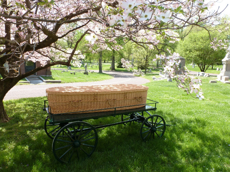 'Eco-friendly' Burial Is Becoming A Trend!