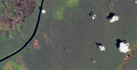 Picture 10 of Ecosystems of Southeast Asian countries viewed from satellites