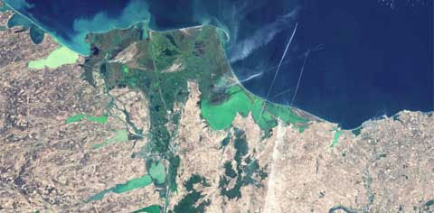 Picture 5 of Ecosystems of Southeast Asian countries viewed from satellites
