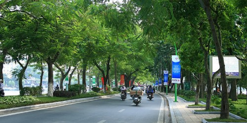Picture 1 of Effect of trees in urban ecosystems
