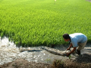 Picture 1 of Effective against saline water by manual methods
