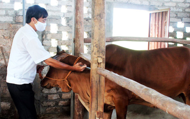 Picture 2 of Effective measures for foot and mouth disease response