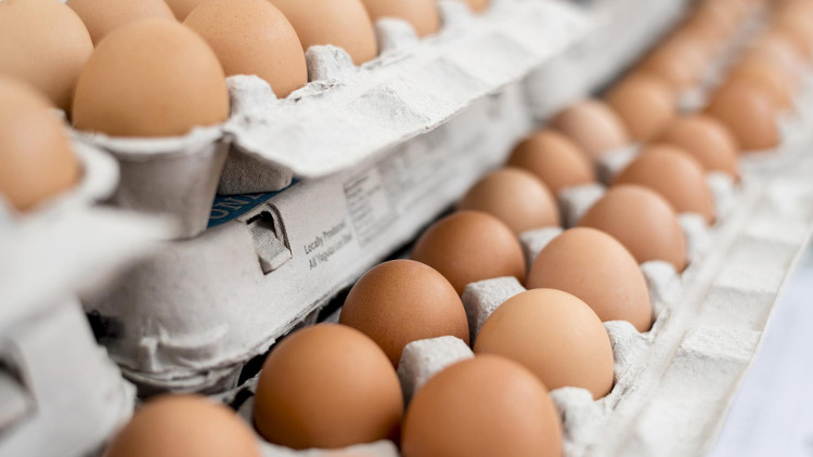 Picture 1 of Eggs are not 'enemies' for people with diabetes