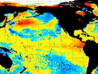 Picture 1 of El Nino reappears in the Pacific Ocean