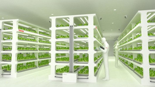 Picture 1 of Electronic company goes to grow vegetables