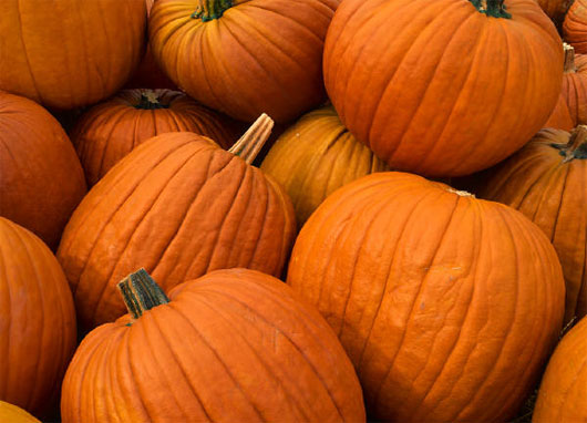 Picture 1 of Eliminate depression, kidney stones with pumpkin juice