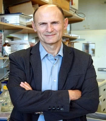 Picture 1 of Embryo species of human hybrid - monkey created in China