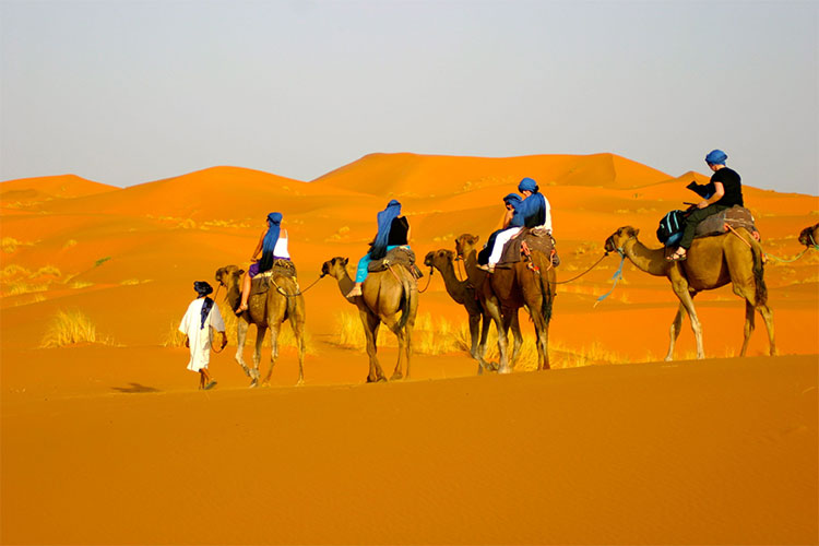 Picture 5 of Emirate of Dubai and special things in Dubai