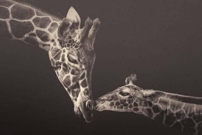 Emotional set of 'talking' of animals images 2