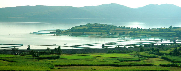 Picture 15 of Enchanting beauty of Vietnam lagoon water