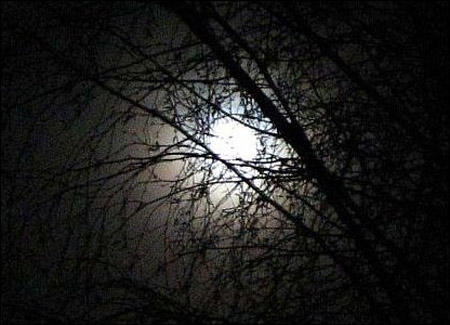 Picture 6 of Enjoy the biggest moon in over a decade