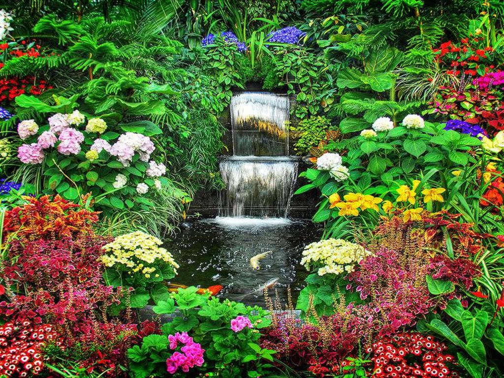 Picture 1 of Enjoy the most beautiful