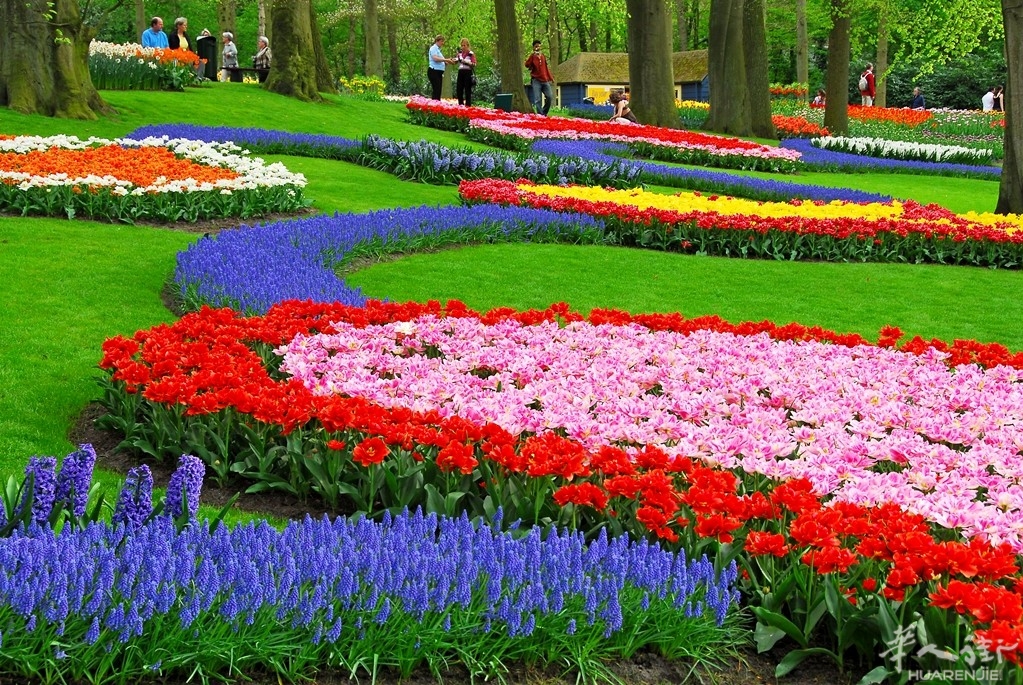 Picture 10 of Enjoy the most beautiful