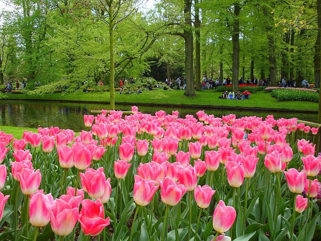 Picture 11 of Enjoy the most beautiful