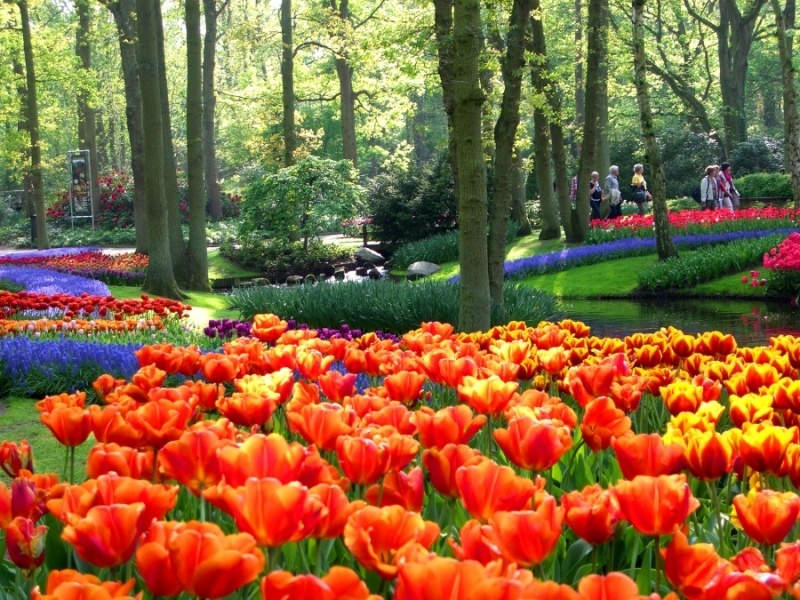 Picture 12 of Enjoy the most beautiful