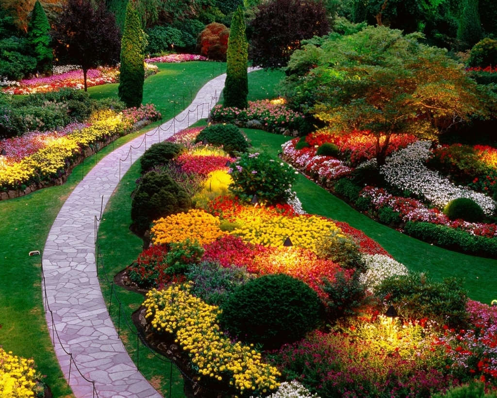 Picture 2 of Enjoy the most beautiful