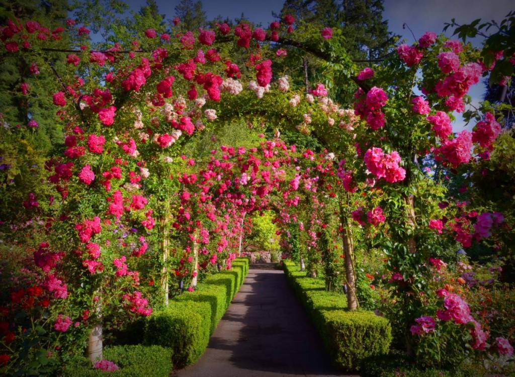 Picture 3 of Enjoy the most beautiful