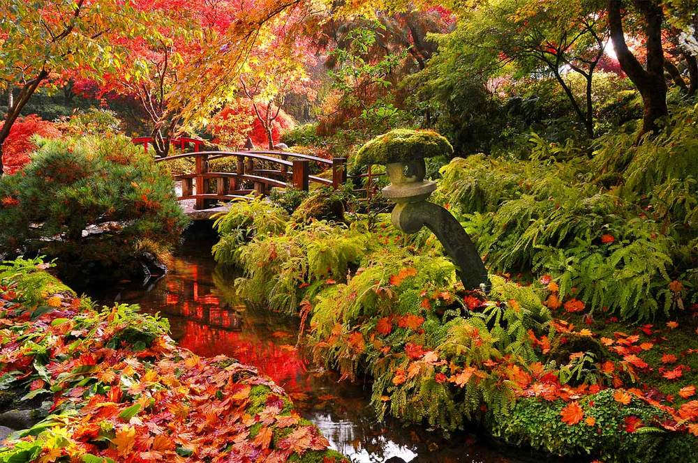 Picture 4 of Enjoy the most beautiful