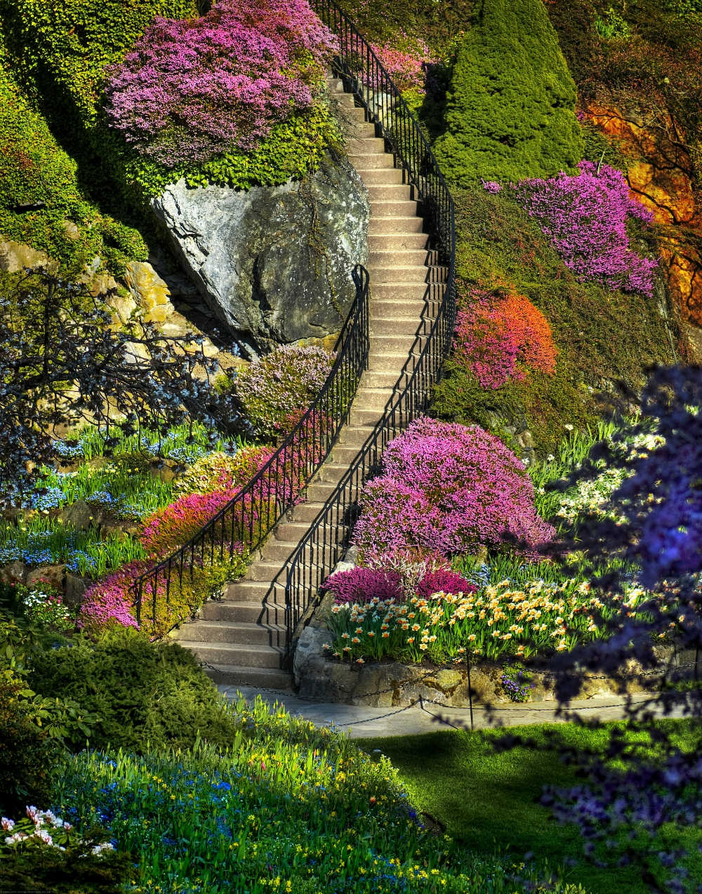 Picture 5 of Enjoy the most beautiful