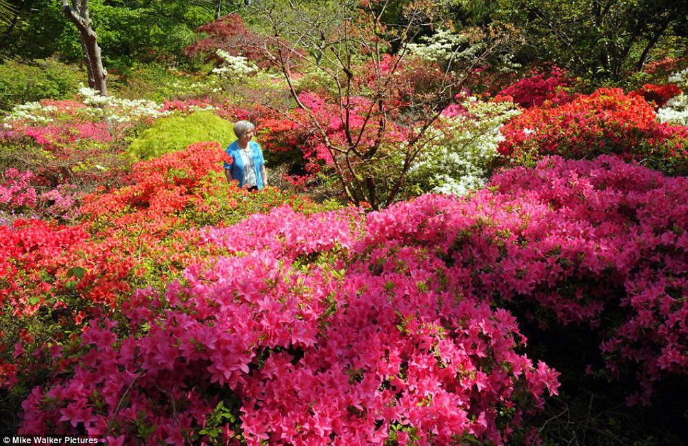 Picture 6 of Enjoy the most beautiful