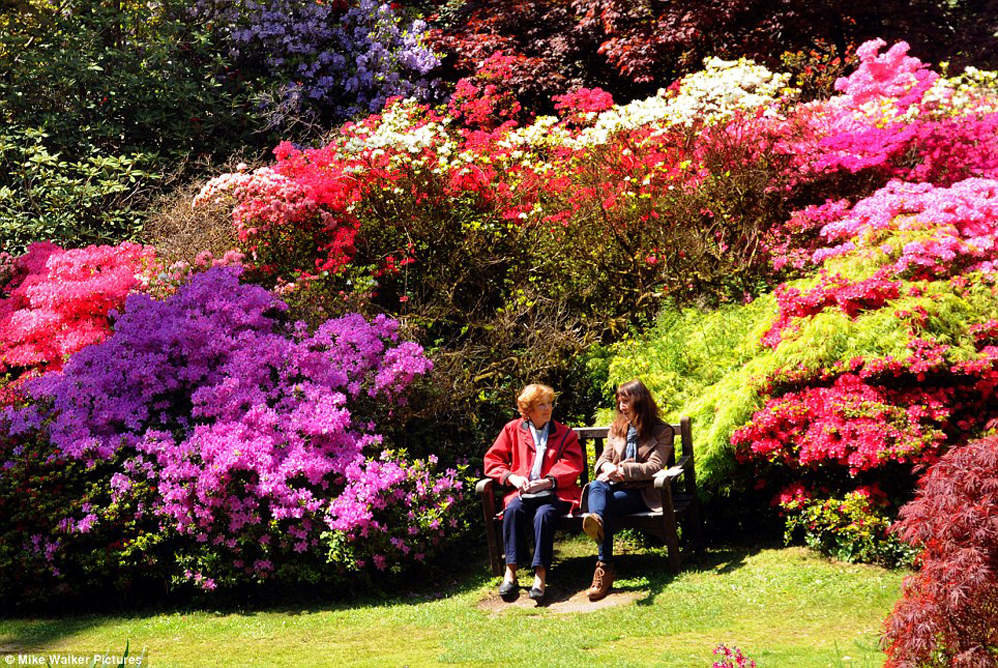 Picture 7 of Enjoy the most beautiful