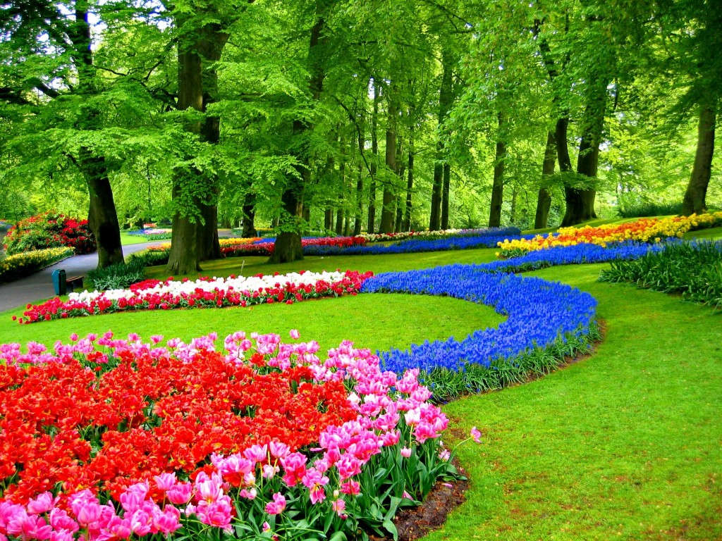 Picture 9 of Enjoy the most beautiful