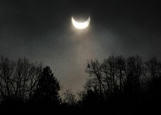 Picture 9 of Enjoy the partial eclipse of the planet